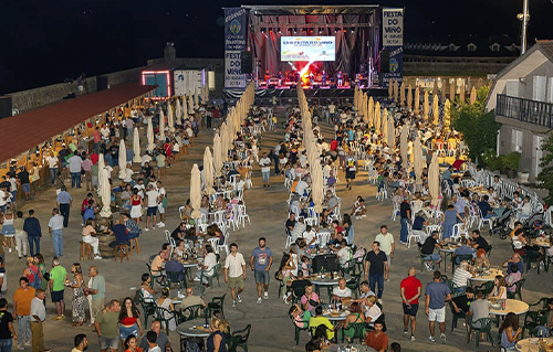 Festival, fiesta del vino en Salvaterra de Mio